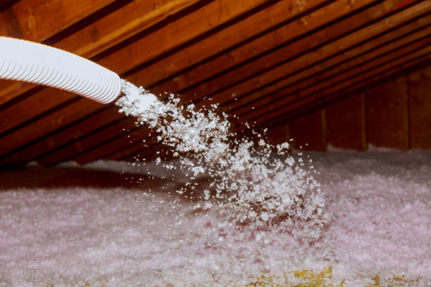 Best Commercial Insulation in Eastman, GA