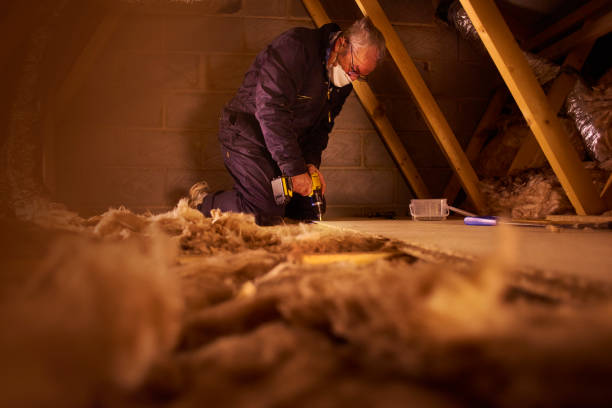 Professional Insulation Contractor in GA